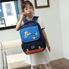 Cute And Stylish Cartoon Nylon Backpack For Boys And Girls School And Travel