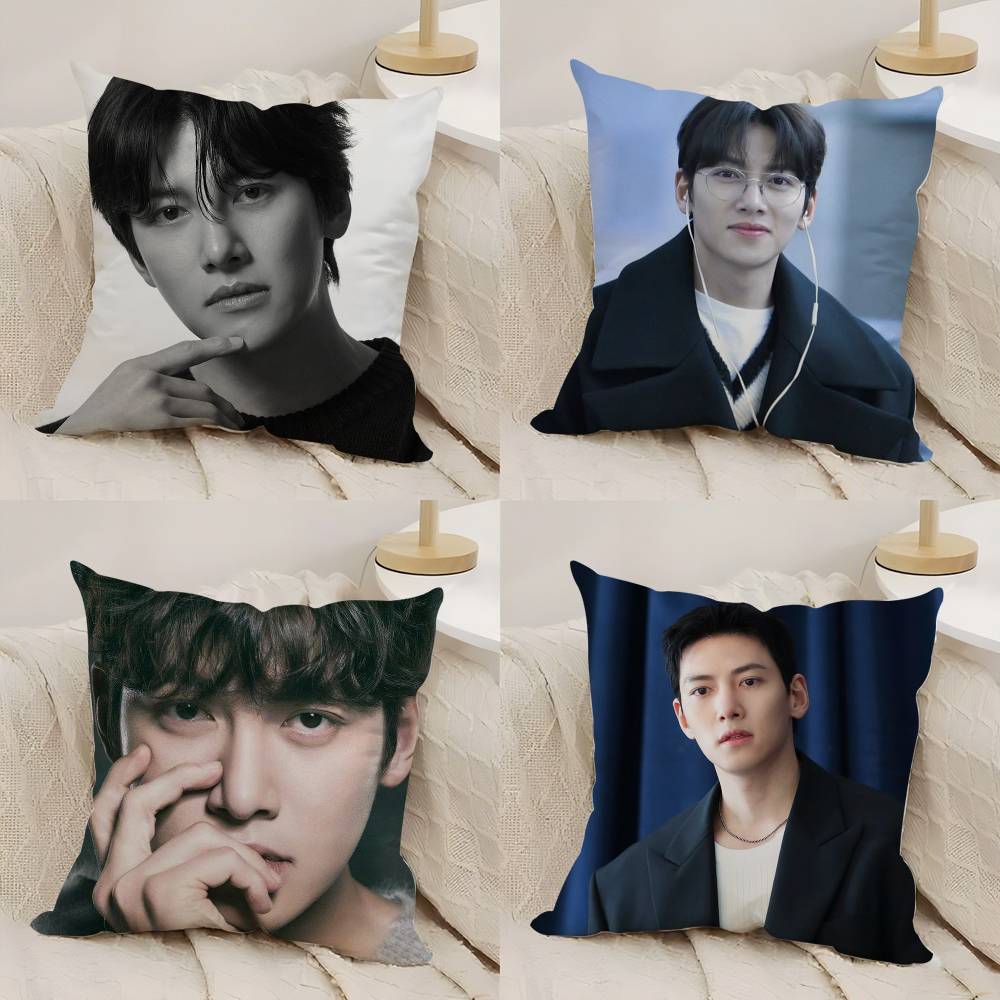 J-Ji C-Chang Wook Наволочка для дома, общежития, спинки стула, короткий плюш, двусторонняя печать, подушка для офиса, время для сна