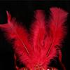 Costume Lady Mask Feather Sexy Halloween Mask Masquerade Half Face Mask Sexy Carnivals Mask Ball-Party Performance Mask