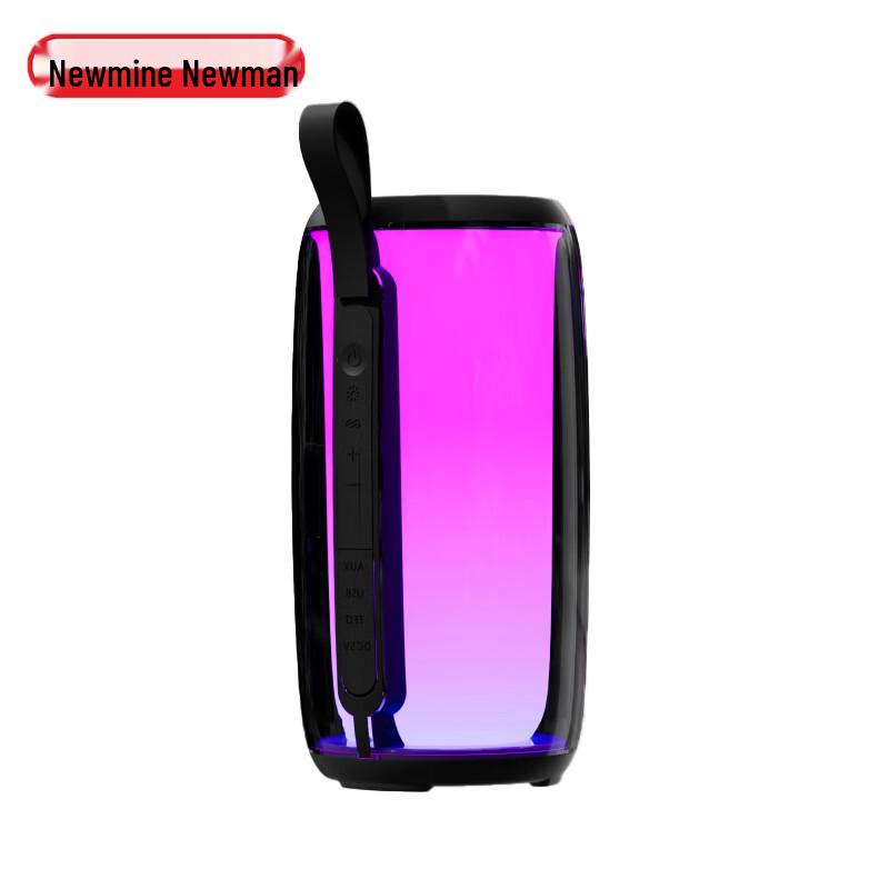Беспроводной Bluetooth-караоке-динамик Newmine M18 с двумя микрофонами (Китайская версия)