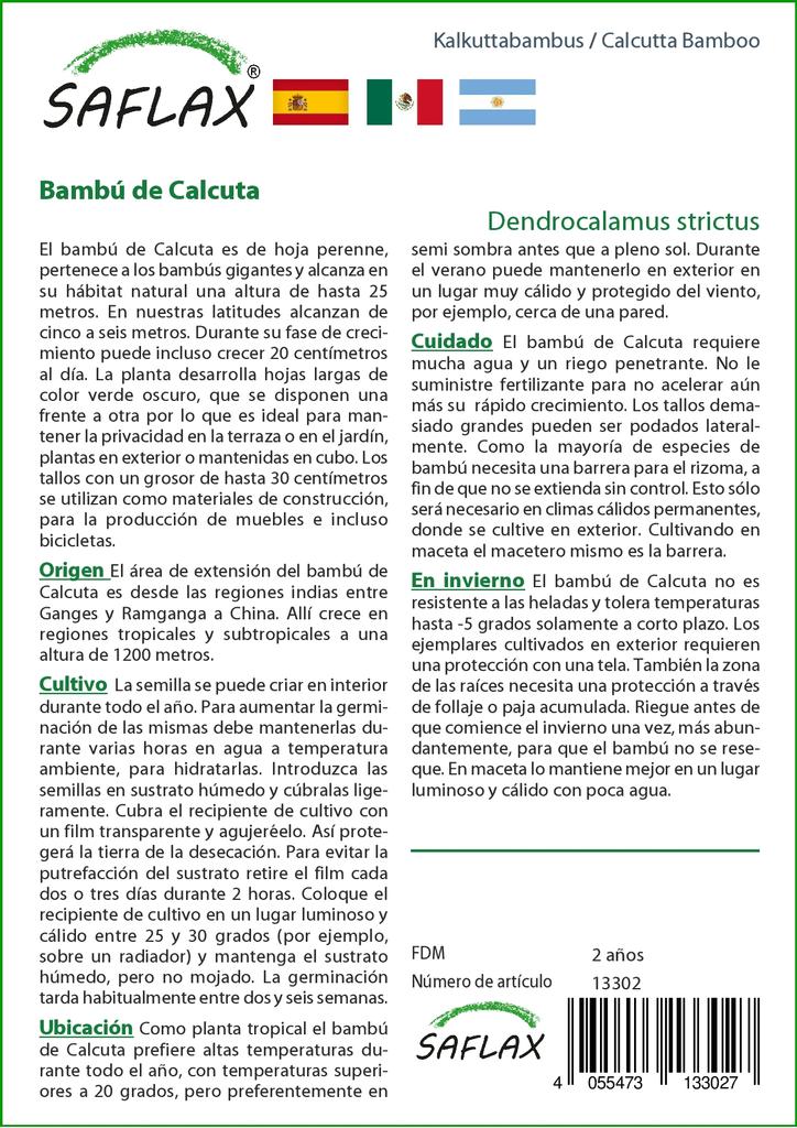 SAFLAX Калькуттский бамбук - 50 семян - Dendrocalamus strictus