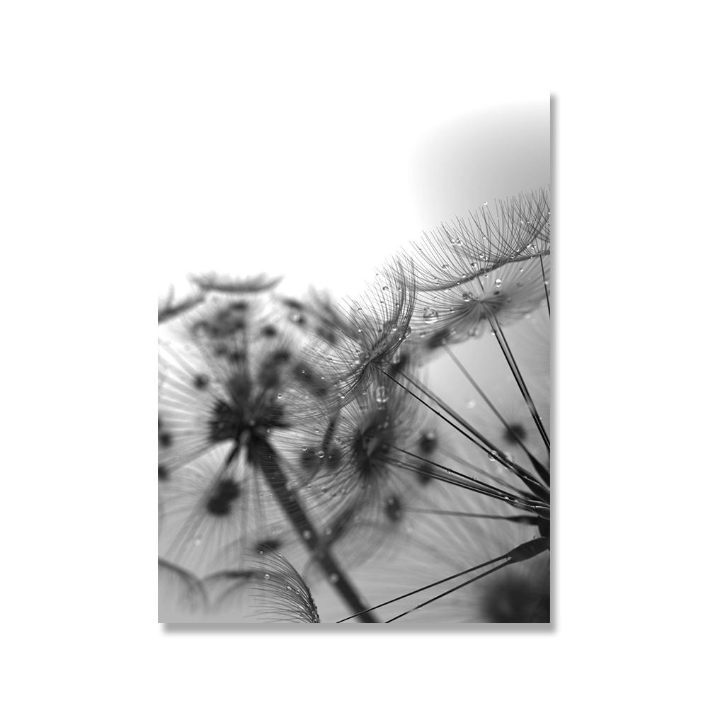 Серо-голубое растение Одуванчик Суккулент Картина на холсте Скандинавский пейзаж Фотография Постер Современный домашний декор Гостиная Спальня