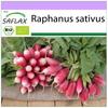 Organic - Radish - French Breakfast - 150 Seeds - Raphanus Sativus