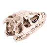 Resin Dinosaur Skull Model Simulated Animal Skeleton Home Office Decor Craft Teaching Prop