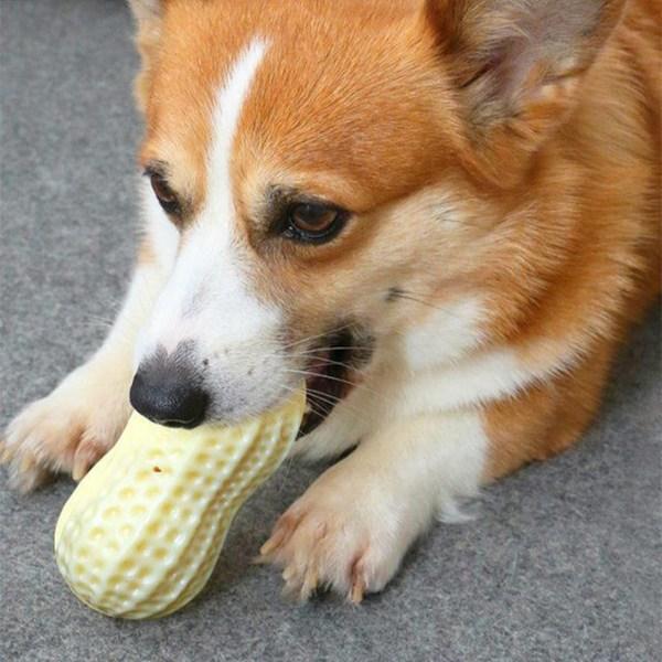 Petconomy Puppy Squeaky Peanut Toy, 2 Pieces