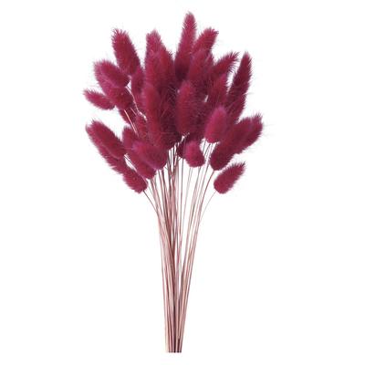 Daichi Farm Сушеные цветы Lagrass Вино красное (15g) ДО42050-470
