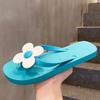 Flip-flops Ladies Summer Personality Trend Sandals and Slippers Summer Outer Wear Slippers Women's Non-slip Beach Shoes Clip Feet
