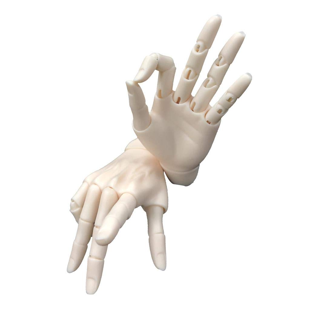 P Prettyia рука гибкая мужская кукла рука модель куклы изготовление 2 цвета нормальная кожа 15-суставной 1/3BJD -