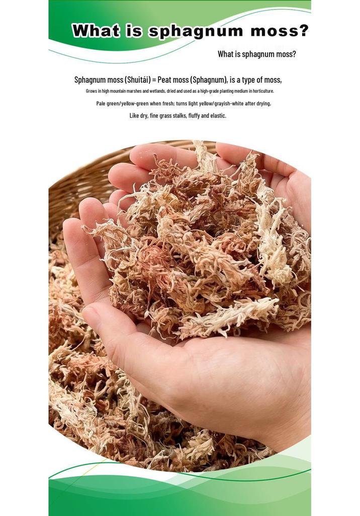 Chilean Five-Star Sphagnum Moss: Water-Retentive, Breathable Medium for Orchids, Carnivorous Plants, Ferns, Dendrobiums, and Reptile Bedding