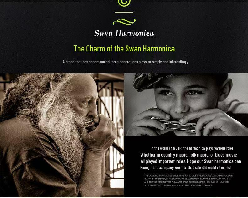 Набор губных гармоник Swan: 24-луночный, 7-предметный, 12-предметный Ящик для Студентов и Взрослых. Включает клавиши от A до G, идеально подходит для начинающих.