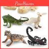 Реалистичные Пластиковые Модели Лесных Животных Для Детей С Белым Фениксом, Скорпионом, Зеленой Игуаной И Рогатой Ящерицей. Идеально Для Образовательных Игр И Декора