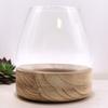Terrarium, Large On Natural Tung Wood