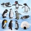 11Pcs/ Set Useful Penguin Model Toy Rust-proof Assorted Miniature Figures
