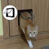 Dog Cat Flap Door Small Pet Gate Door Kit With 4 Way Lock Security Flap Door Cat Puppy Safety Gate Small Pet Supplies ABS Plastic For Dog Cat Kitten