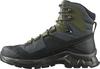 Hiking Shoes Quest Element GTX