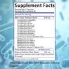 Men'S Daily Probiotic Blend Dietary Supplement, 120 Veggie Capsules Per Bottle