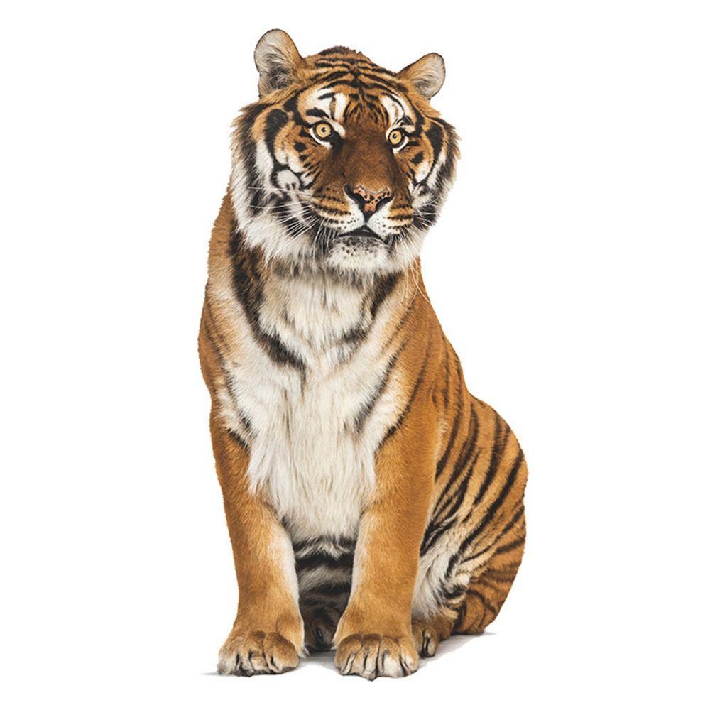 Multicolor 3D Tiger Wall Sticker Self-Adhesive Mural Art Gift Cartoon Animal Stickers