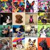 5D DIY Diamond Painting Dog Full Round Diamond Embroidery Animal Mosaic Rhinestone Kit Decor For Home