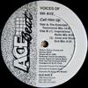 12-дюймовая пластинка VOICES OF 6TH AVENUE - Позвони ему ACE0008 Ace Beat Record 1992 Япония Танцевальная и электронная музыка Б/У