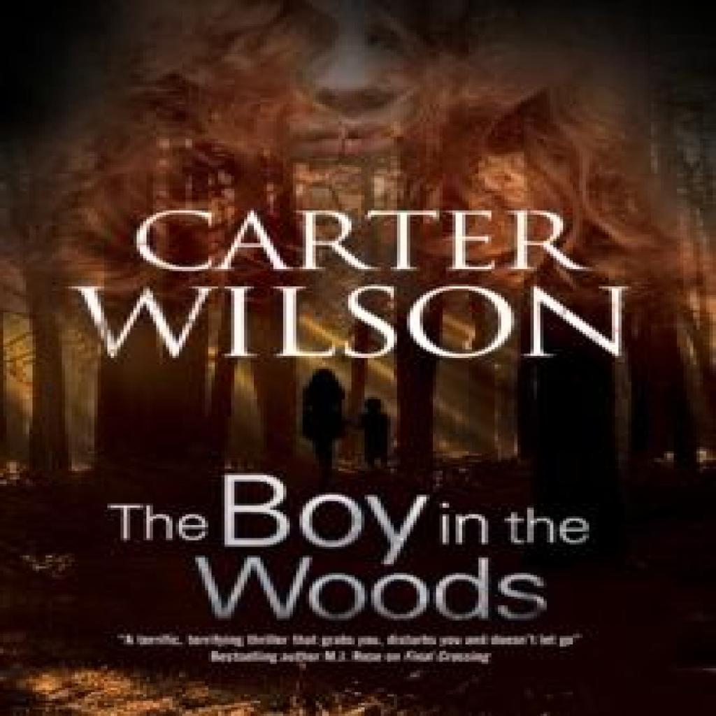 The Boy in the Woods by Carter Wilson Paperback Book 9781847517883