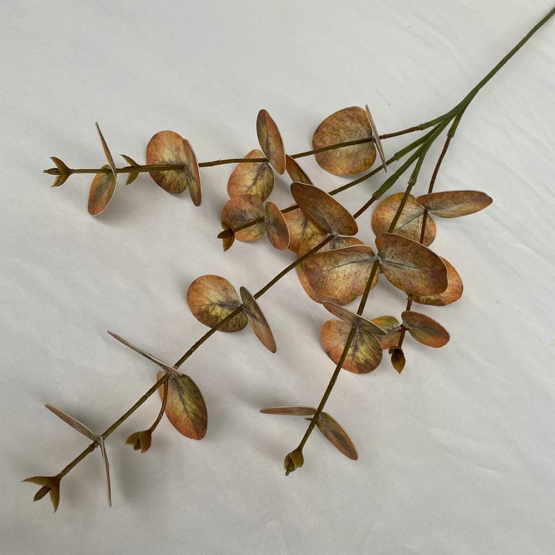 Стебли листьев эвкалипта для внутреннего и наружного свадебного украшения, подарок
