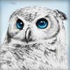 Diamond Painting Animals Picture of Rhinestones Diamond Embroidery Owl Full Display Home Decor