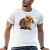 Brown Holland Lop Bunny Tshirt Basic Solid Tee For Daily Use