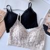 Sexy pure lace beautiful back chest wrap women's fixed cup gathering underwear without steel ring bra short suspender vest tide