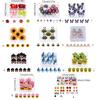 Push Pins Butterfly Tacks Map Tacks Decorative Push Pins Poster Pins for World Map Cork Board Fabric Marking Dressmaking