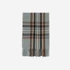 Plaid Long Scarf Winter Warm Cashmere Women Pashmina Foulard Bandana Scarves Female Luxury Tassel Shawl Wraps 2022 New