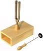 Tuning Fork with Resonance Case Tuning Fork with Resonance Case No.935442RA A=442Hz