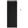 Venetian Blinds Black 60 x 160 cm 35 mm Solid Paulownia Wood