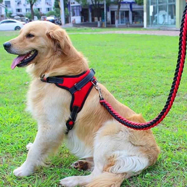 Purple Pet Puppy Large Dog Medium Dog L-Type Harness + Leash Set XL, 1 Set, Red