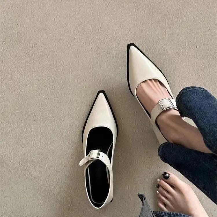 Fashion Coarse Heeled Women's Shoes, Retro French Buckle, Mary Jane Women's Shoes, Pointed Toe, Low Heel, Shallow Mouth Single Shoe