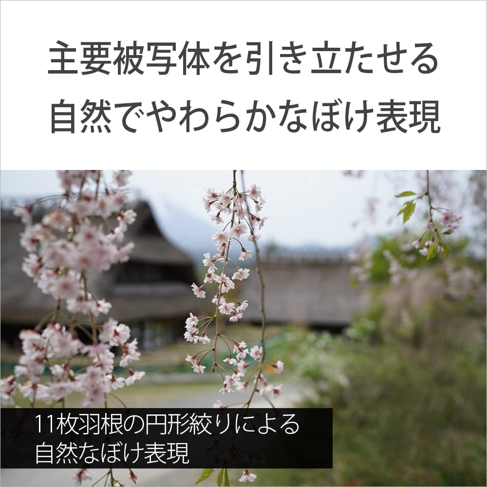 Sony Wide Angle Zoom Lens Full Size FE GM G Master Genuine Lens for Digital Single Lens Camera SEL1635GM 16-35mm F2.8 [E Mount]