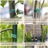 Self Adhesive Nylon Plant Tie Reusable Plant Hook Loop Ties Green Fastener Tape Bamboo Cane Wrap Support Home Garden Accessories