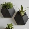 Wall-Mounted Hexagonal Flower Pot Geometric Growing Pots Wall Hanging Planter  Indoor Plants