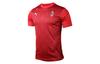 Футбольные майки AC Milan Мужские Красные Тонкие Прямой крой 758229-01