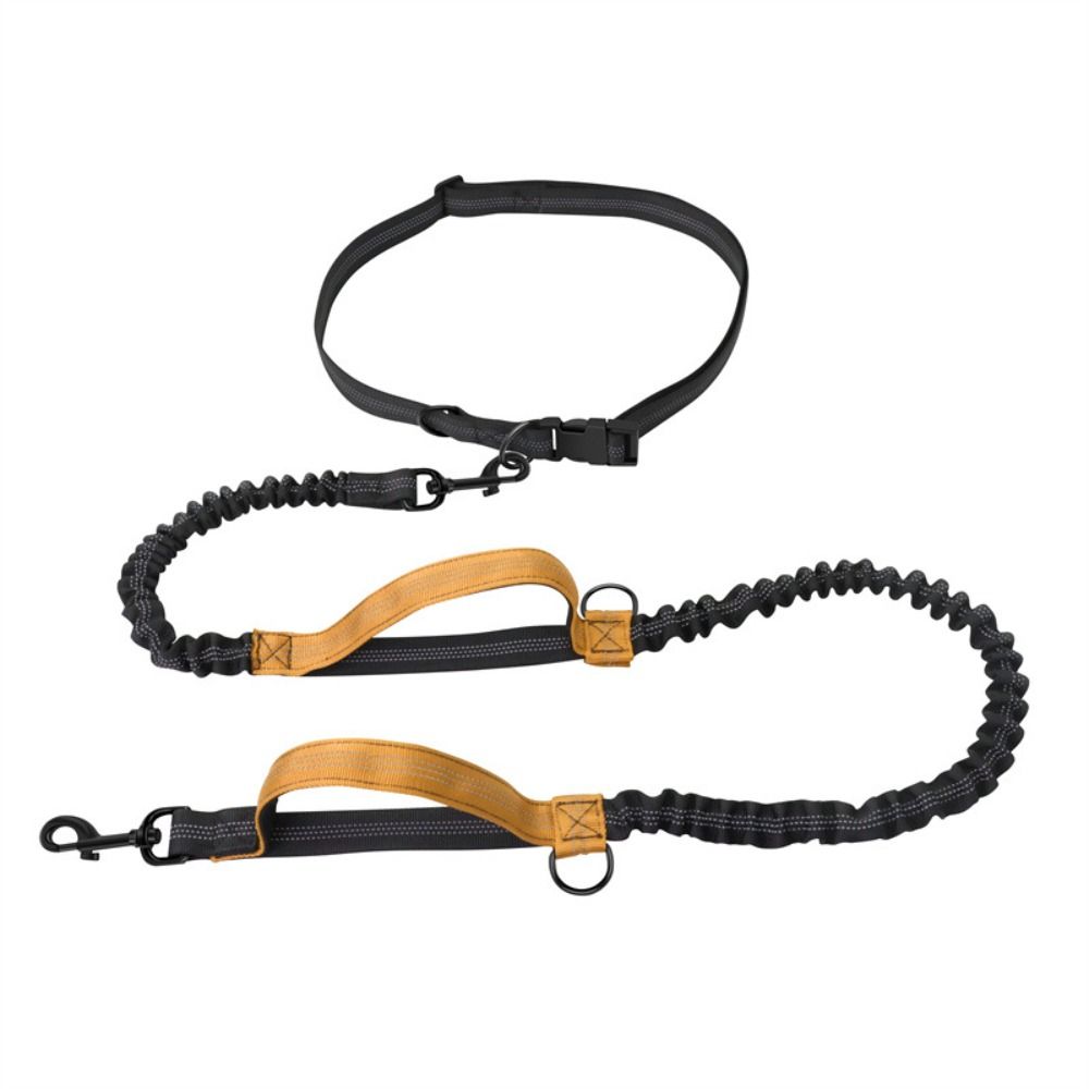 Hands Free Dog Traction Rope Dual Handle Pet Leads Retractable Dog Leash Pet Supplies