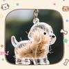 Clear Puppy Hair Memorial Keepsake Capsule Pet'S Dog Fur Container Diy Pendant Keychain Decor Pet Lovers Home Display Gifts