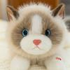 Cute Simulation Sound Ragdoll Cat Doll Hairy Tail Healing Cat Plush Doll Girl
