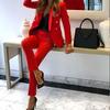 Women's Dressy 2 Piece Business Set Long Sleeve Blazer And Pencil Pant