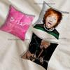 Ed S-Sheeran Singer Ablum Pillow Case For Sofa Decor Car Office Room Printing Cushion Cover Decorations and Protector