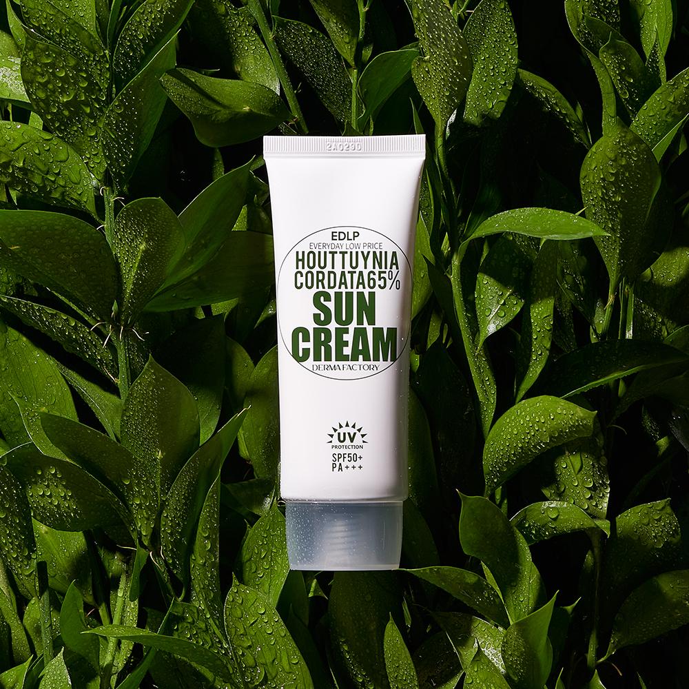 Derma Factory EDLP Houttuynia Cordata 65% Sun Cream SPF50+ PA+++ 50g – Hydrating Mixed UV Filter, Lightweight & Mild Vegan Sunblock, Korean