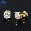 Pass Diamond Tester 925 Sterling Silver VVS Moissanite Earrings Stud Back Earrings for Men Women