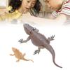 Lizard Life Cycle Figurine Toy Educational Interactive Lifelike Simulated Reptile Animal Figurine Se