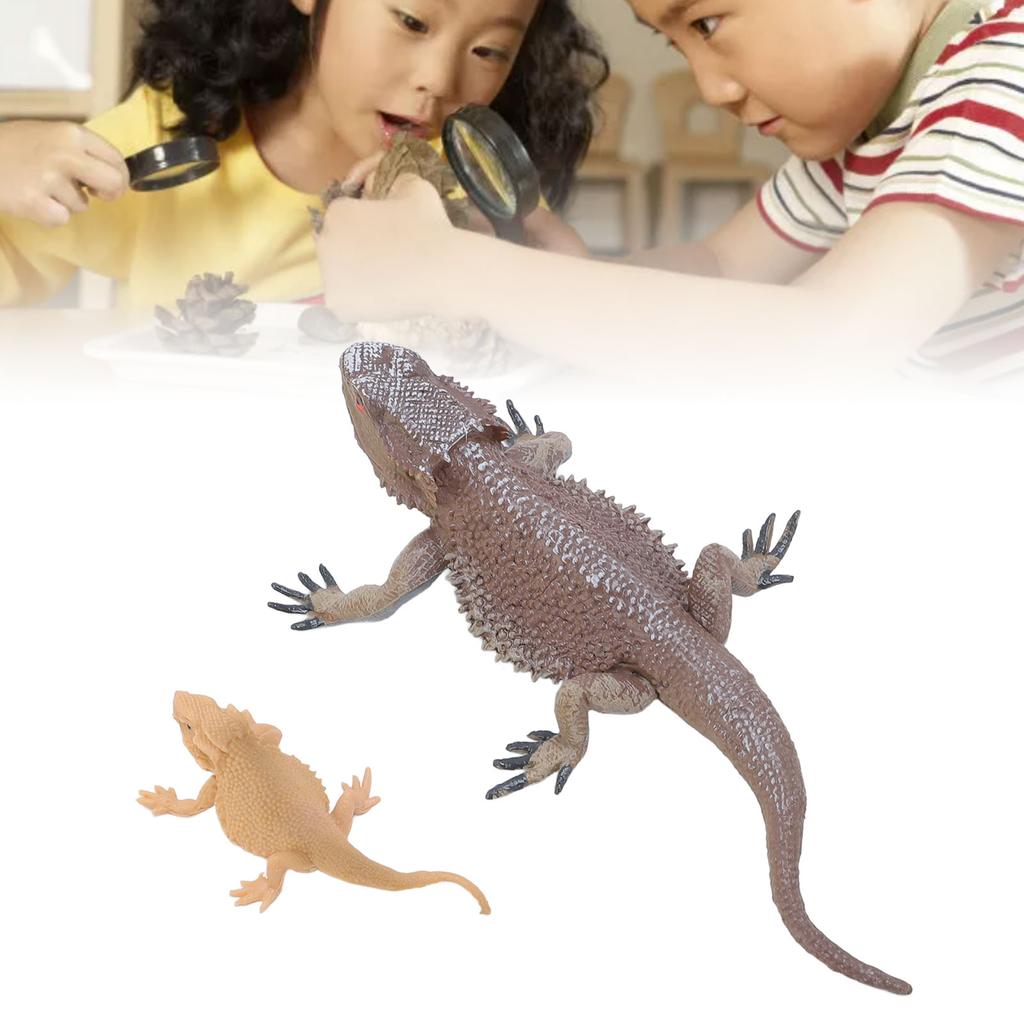 Lizard Life Cycle Figurine Toy Educational Interactive Lifelike Simulated Reptile Animal Figurine Se