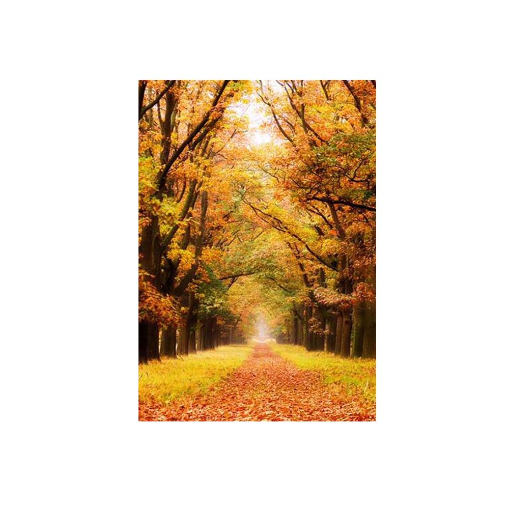 Осенний лес, постеры и принты, картина на холсте, природный пейзаж, современные настенные художественные картины для гостиной, домашний декор, без рамки