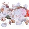 Fantastic 100g Mixed Sea Beach Shells Crafts Seashells Aquarium Decor Photo Props