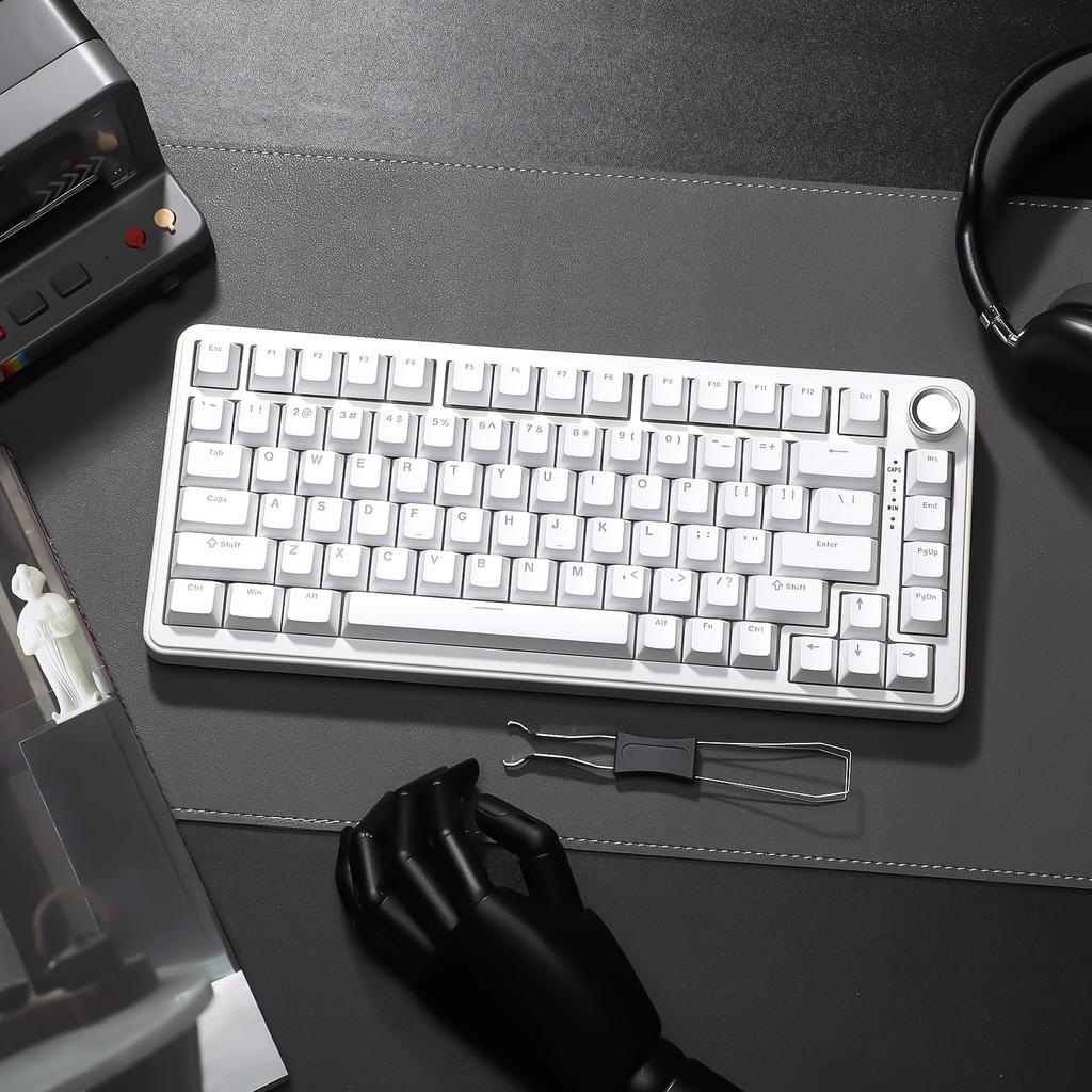 YUNZII B75 Wired Mechanical Keyboard Hot Swap Gasket RGB Backlight Heavy Duty English Layout PBT Keycap Cherry Profile for RGB Blue Gray Tactile 75%